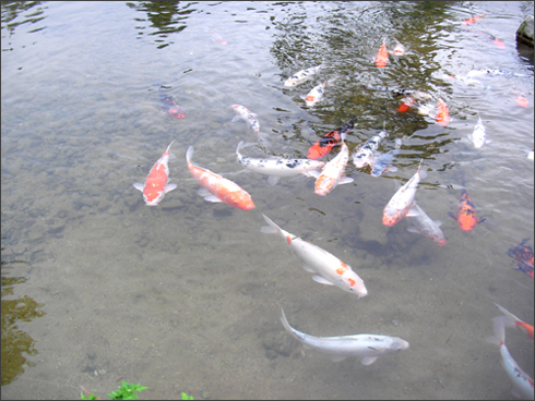 
	Ȳ���, ������ �������� �����鼭 ���Ρ�  
