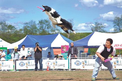 
	�� �۳� 5�� �ѱ��ְ߿����� ������ ��������(���� ������ �ޱ�) ��ȸ���� �� ���� �������� ���ƿö� ������ ��� �ִ�. /�ѱ���찳������ȸ ����
