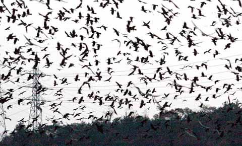 
	�� 2�� ���� ��� ���ŵ� ��ȭ�� �뽣 �ֺ� �ϴ��� ��Ͷ��� �ڵ�����. /���� ���� yw-kim@chosun.com
