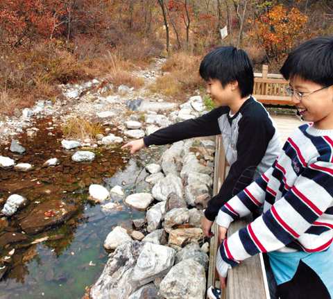 
	 ���մ������� ã�� ���̵��� ���մ��� ���� ���� �ó����� ���� �ʰ��� ���°����� �� �� �ֵ��� ������� �����忡�� �ó����� �����ٺ��� �ִ�. /��뱹 ���� young��chosun.com
