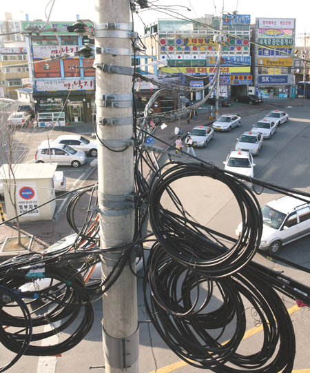 
	 30�� ���� ���ֽ� ���̵� ���̷��͸��� ������ �����ֿ� ��ž�ü�� ������۾�ü�� ��ż����� �������� �����ִ�. /��Ǽ� �������� kimkahns@chosun.com
